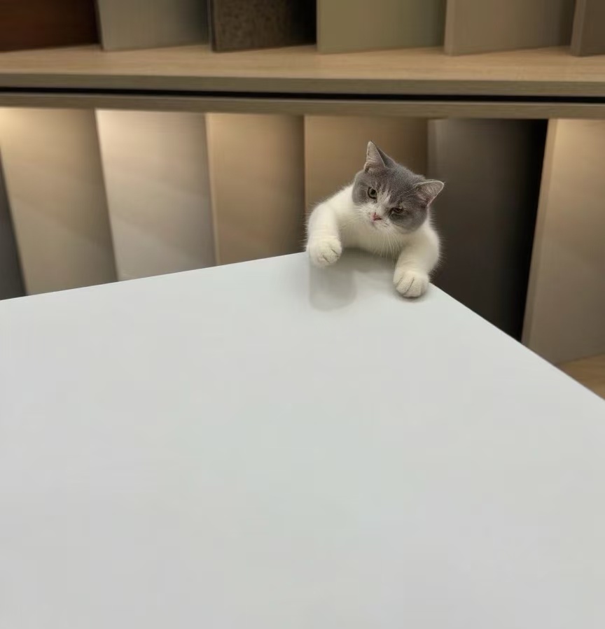 Solid color PETG skin sensitive film