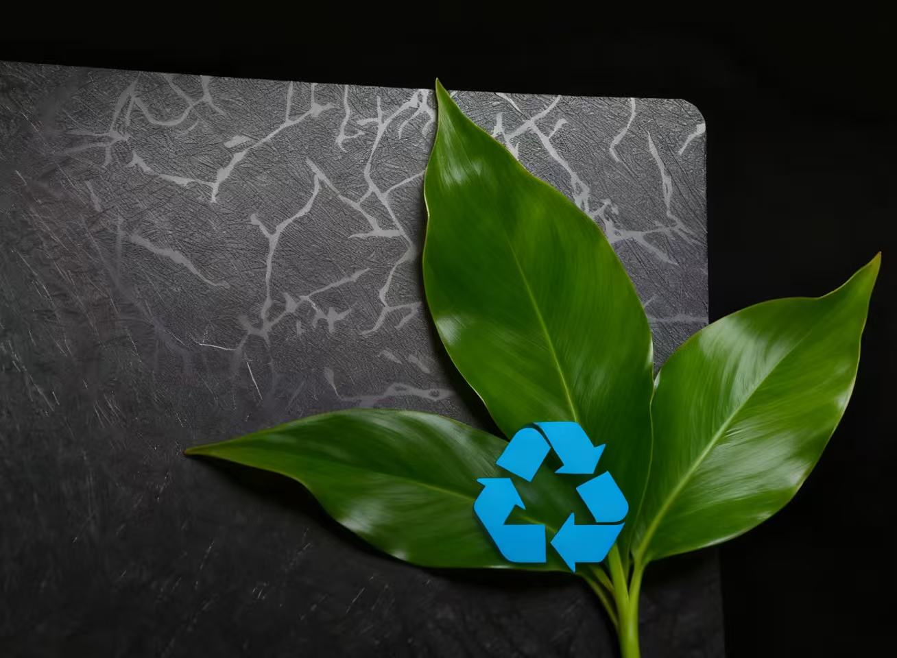 Embossed PET Film recycle