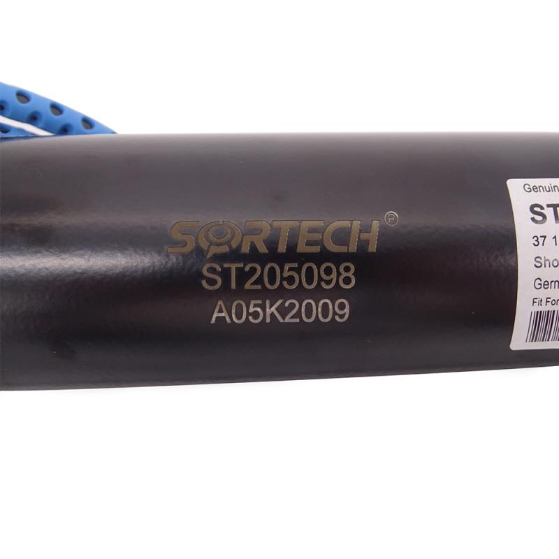 Control de amortiguación continua para BMW 3710 6875 089