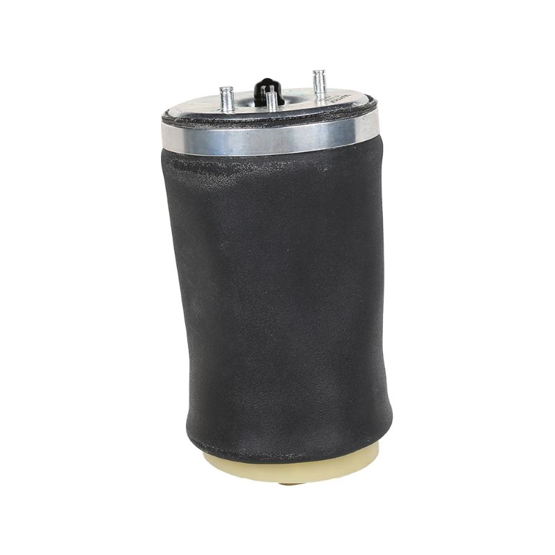 Left air spring gasbag