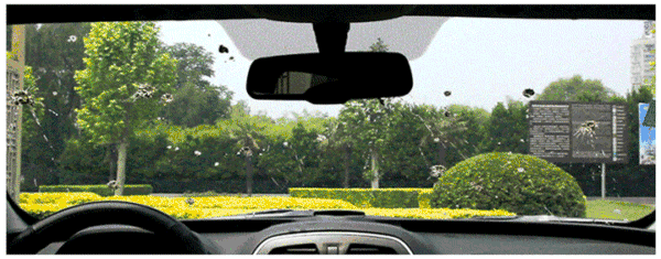 wiper blade
