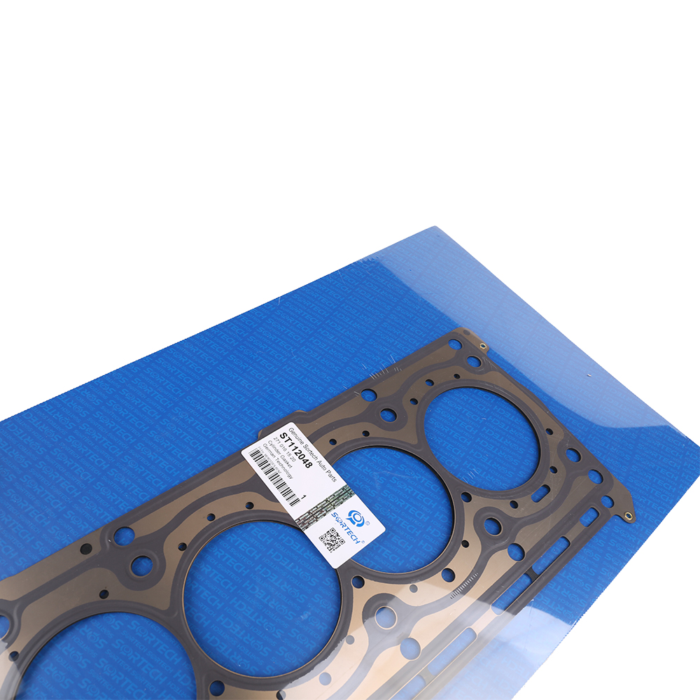 Cylinder Gasket