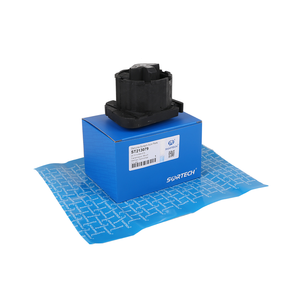 แท่นยึดเกียร์สำหรับ BMW 2231 6864 675