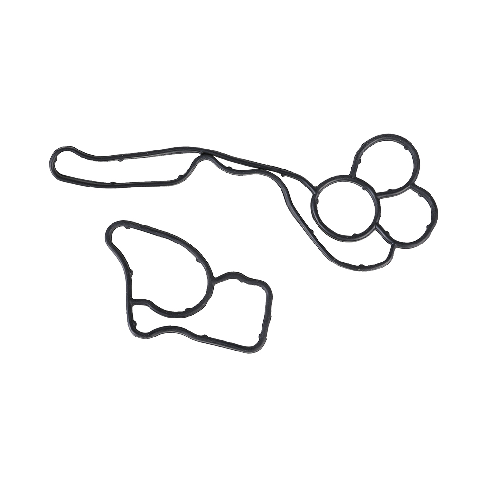 Oil Cooler Gasket