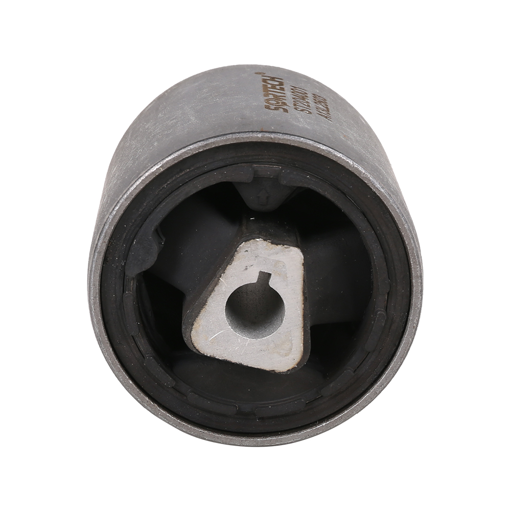 Bushing For BMW 3112 0393 540