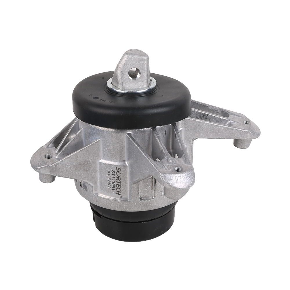 Engine Mount For Mercedes Benz 167 240 77 00