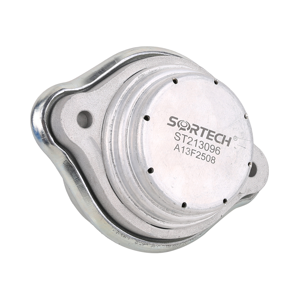 Engine Mount