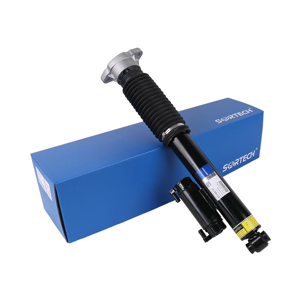 Air Suspension Strut For Mercedes Benz
