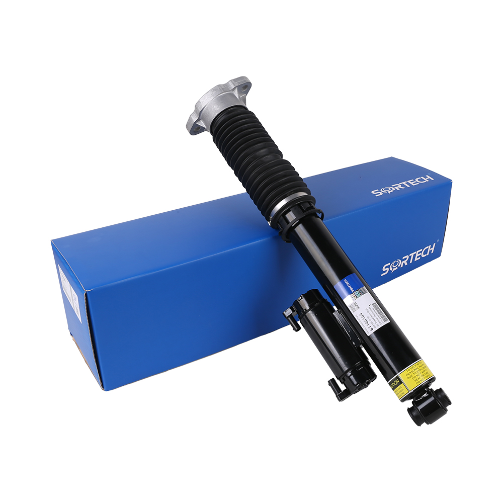 Air Suspension Strut For Mercedes Benz