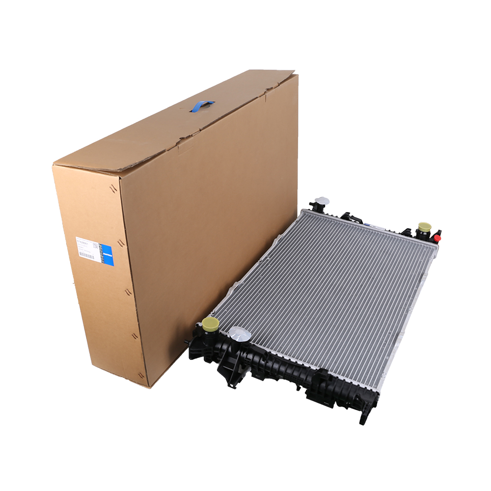Radiator For Audi 4H0 121 251C