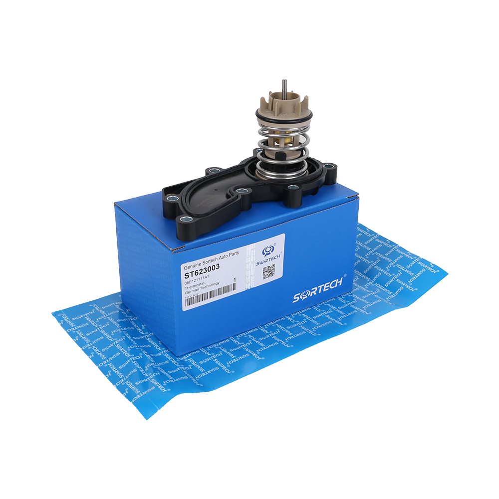 Thermostat For Audi Thermostat For Audi