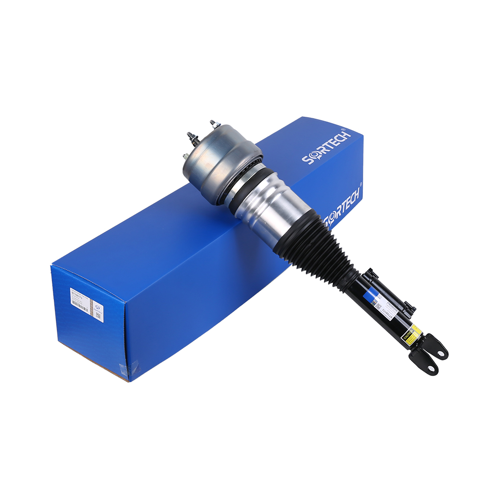 Air Suspension Strut For Mercedes Benz