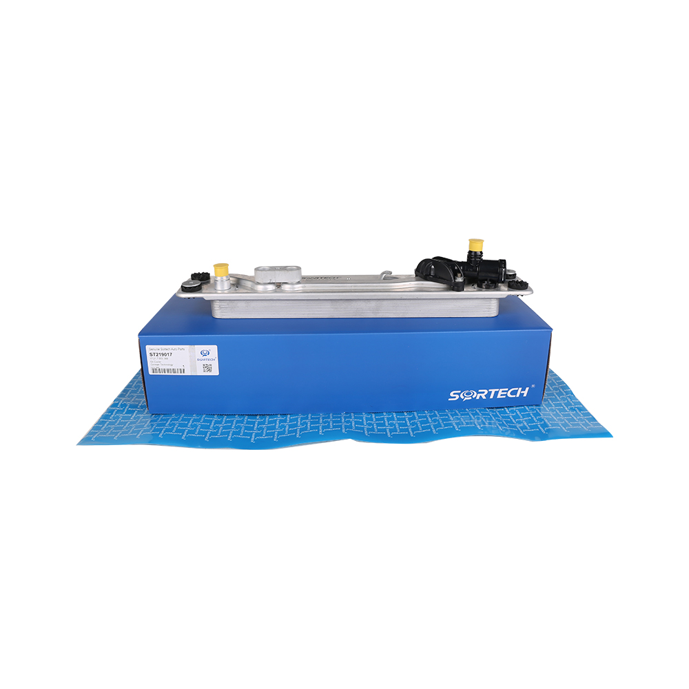Enfriador de aceite de transmisión para BMW 1721 7553 389