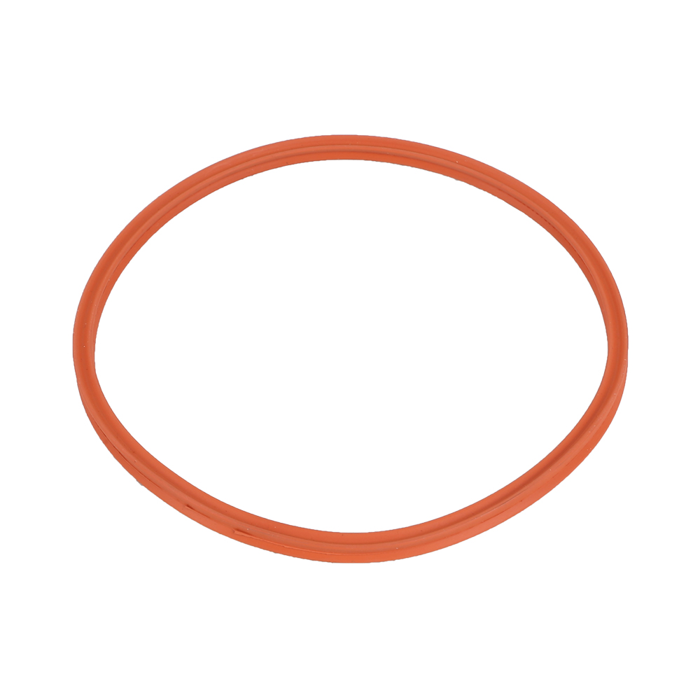 Sealing Ring