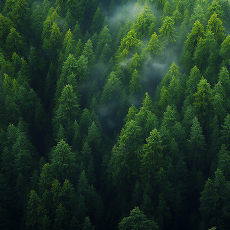 The national 'one map' of ecological protection red lines will be completed