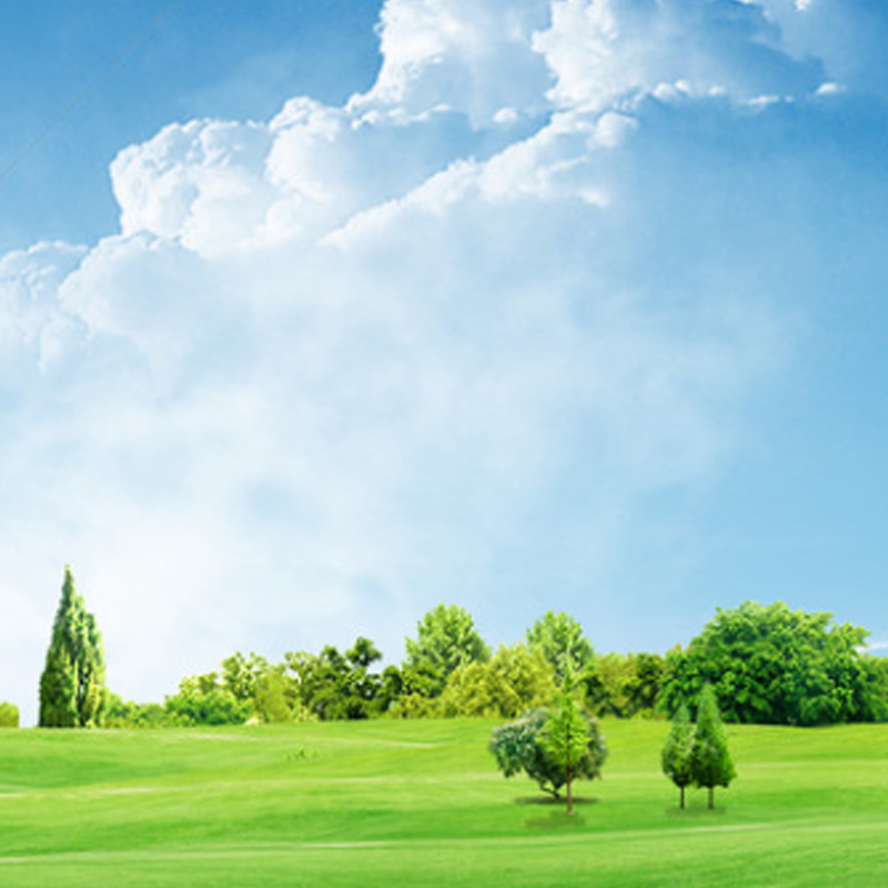 Ministry of Ecology and Environment: Black and odorous water treatment will not be halted until a complete victory is achieved