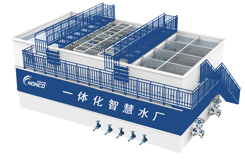 Purification Process