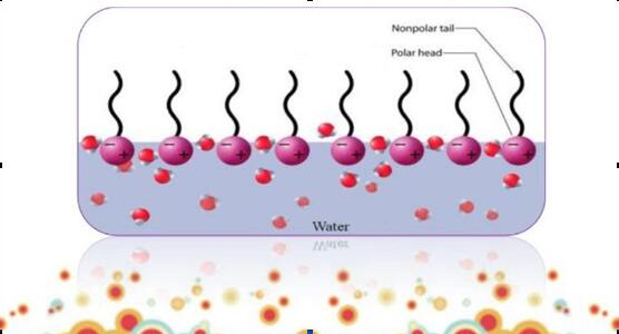 Surfactant Sewage Treatment Equipment Surfactant Sewage Treatment Equipment