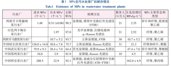 sewage treatment plant (STP)