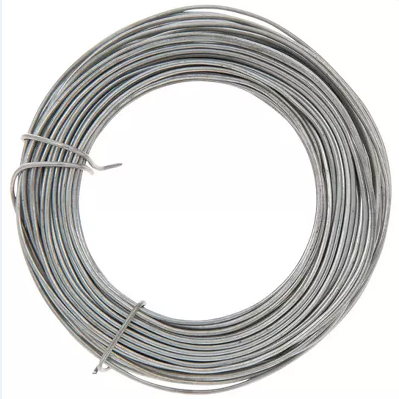 Galvanized steel wire