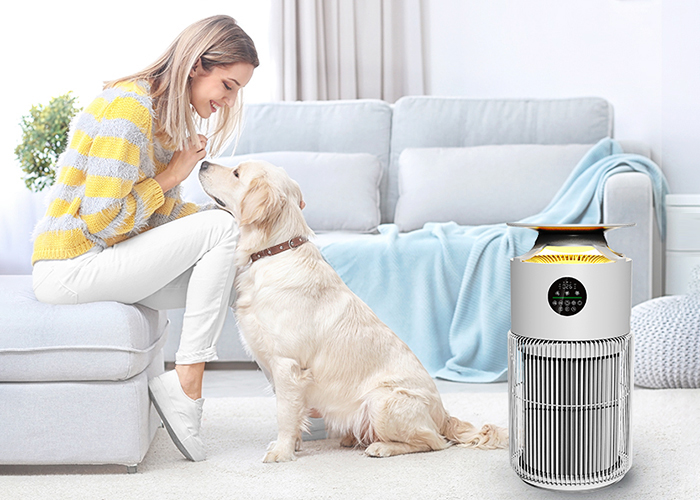air purifier