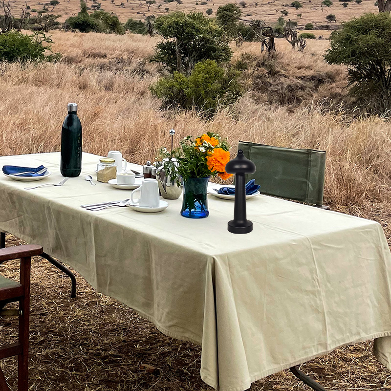 Top Touch LED Light With USB Charging Port