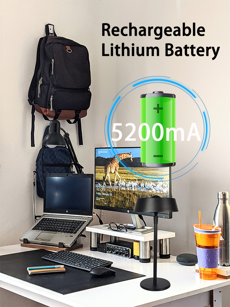 desk lamp with battery