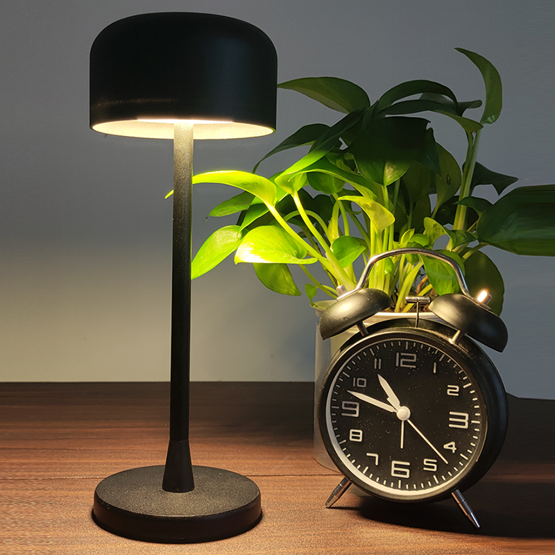 Modern Nordic Style Large Capacity Lithium Battery Desk Lamp