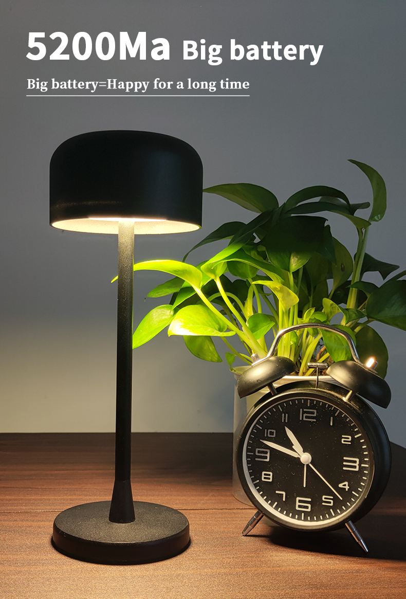 battery desk lamp