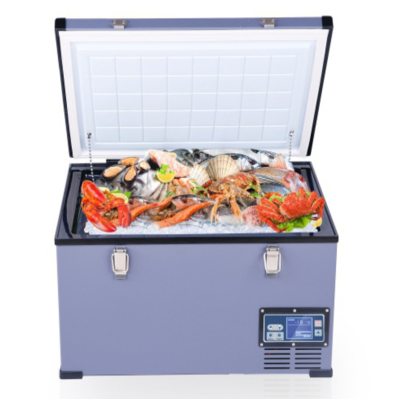 Wholesale Constant Temperature Car Refrigerator Wholesale Constant Temperature Car Refrigerator
