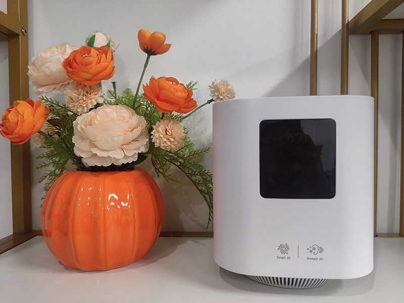 odor removal air purifier