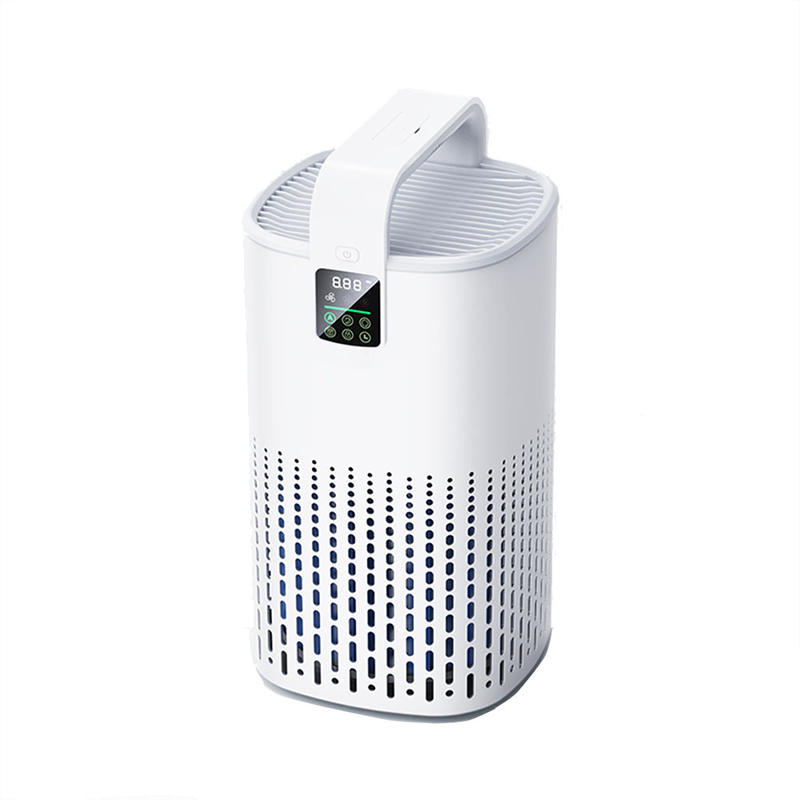 Air Purifier With Plasma Sterilization Deodorization And Hair Absorption Function