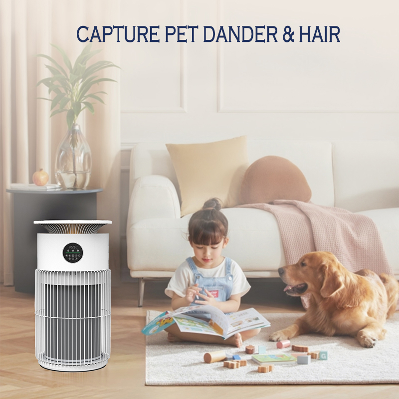 Pet-friendly air purifier protects the health of pets and family