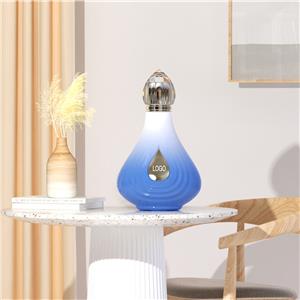 Custom Glass Perfume Bottle With Unique Shape
