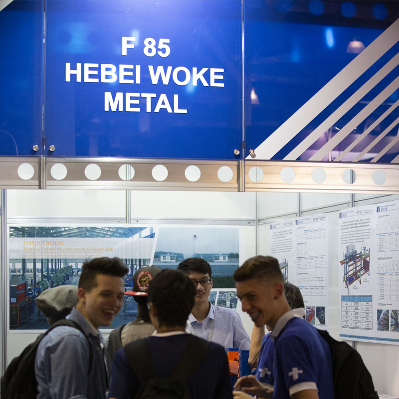 The Exhibition in Brazil