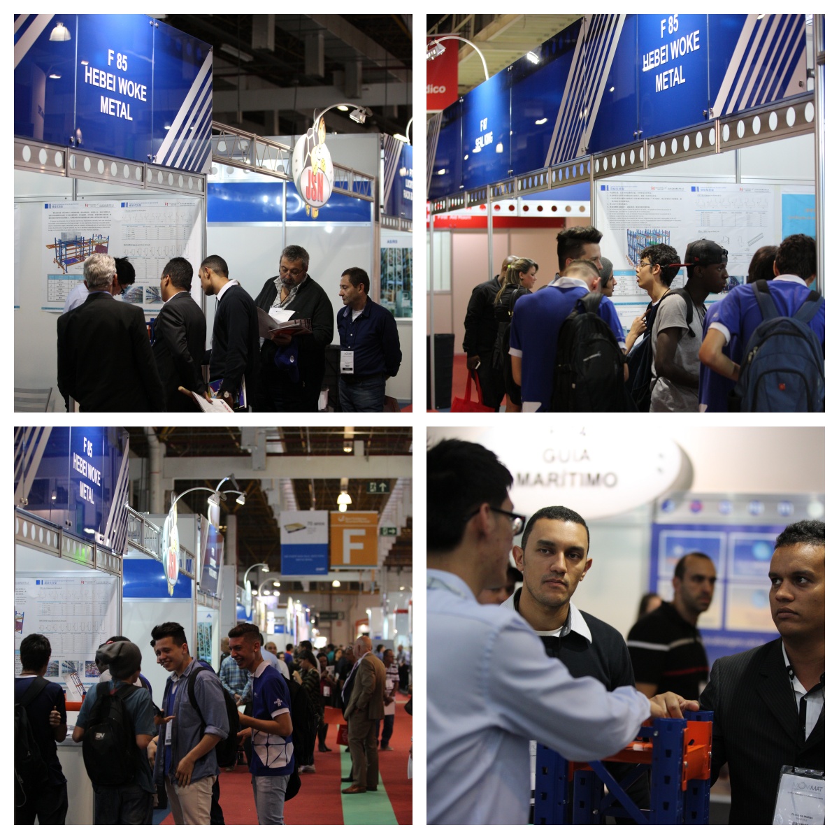 The Exhibition in Brazil