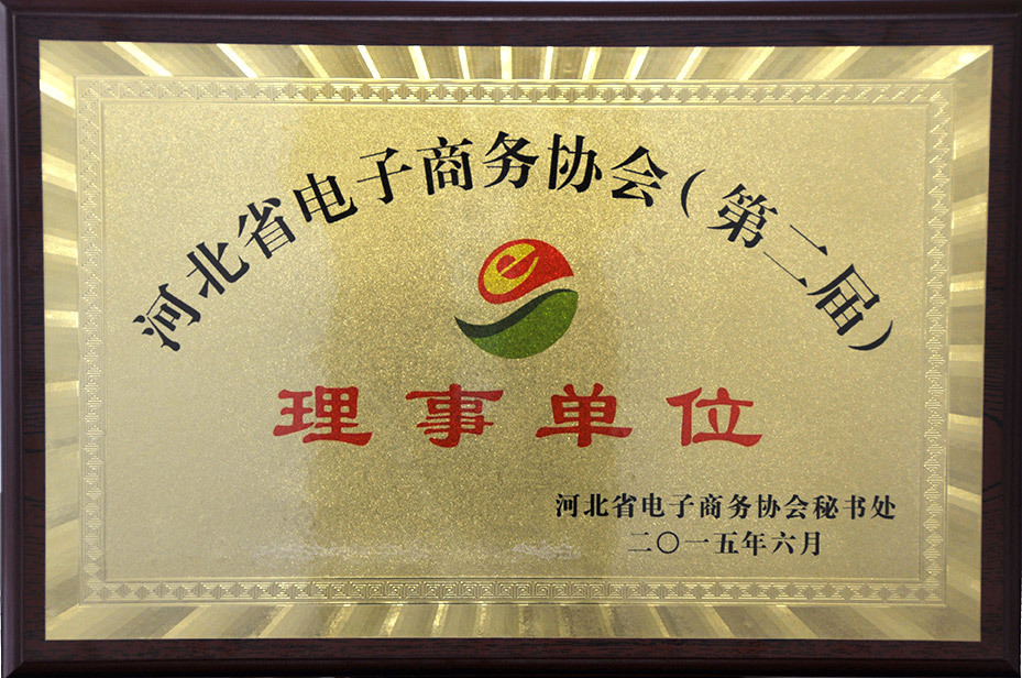 Director Unit of E-Commerce