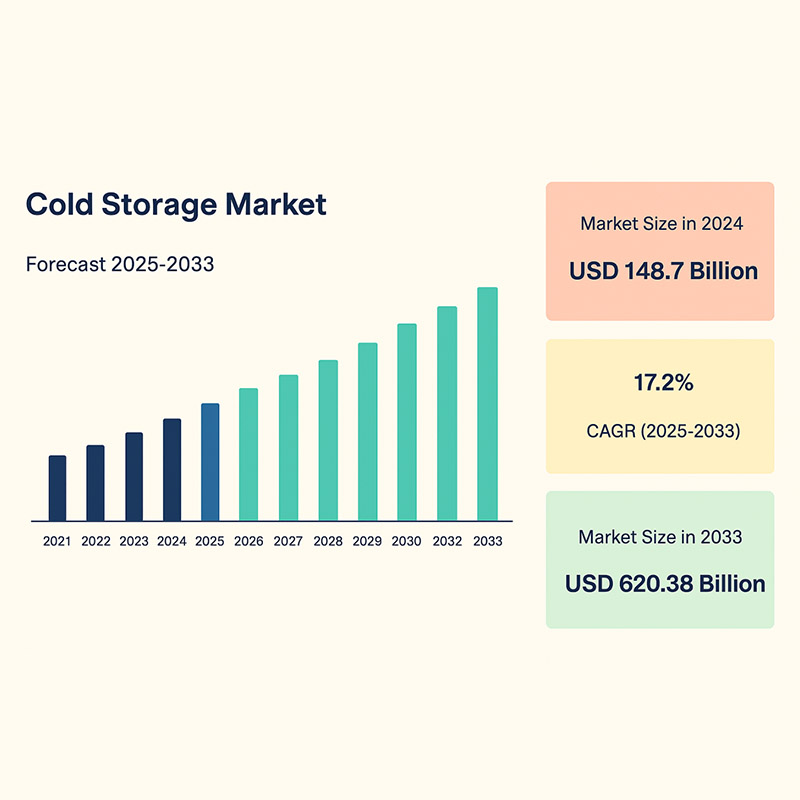 Cold Storage Automation: Redefining the Cold Chain with HEGERLS Solutions