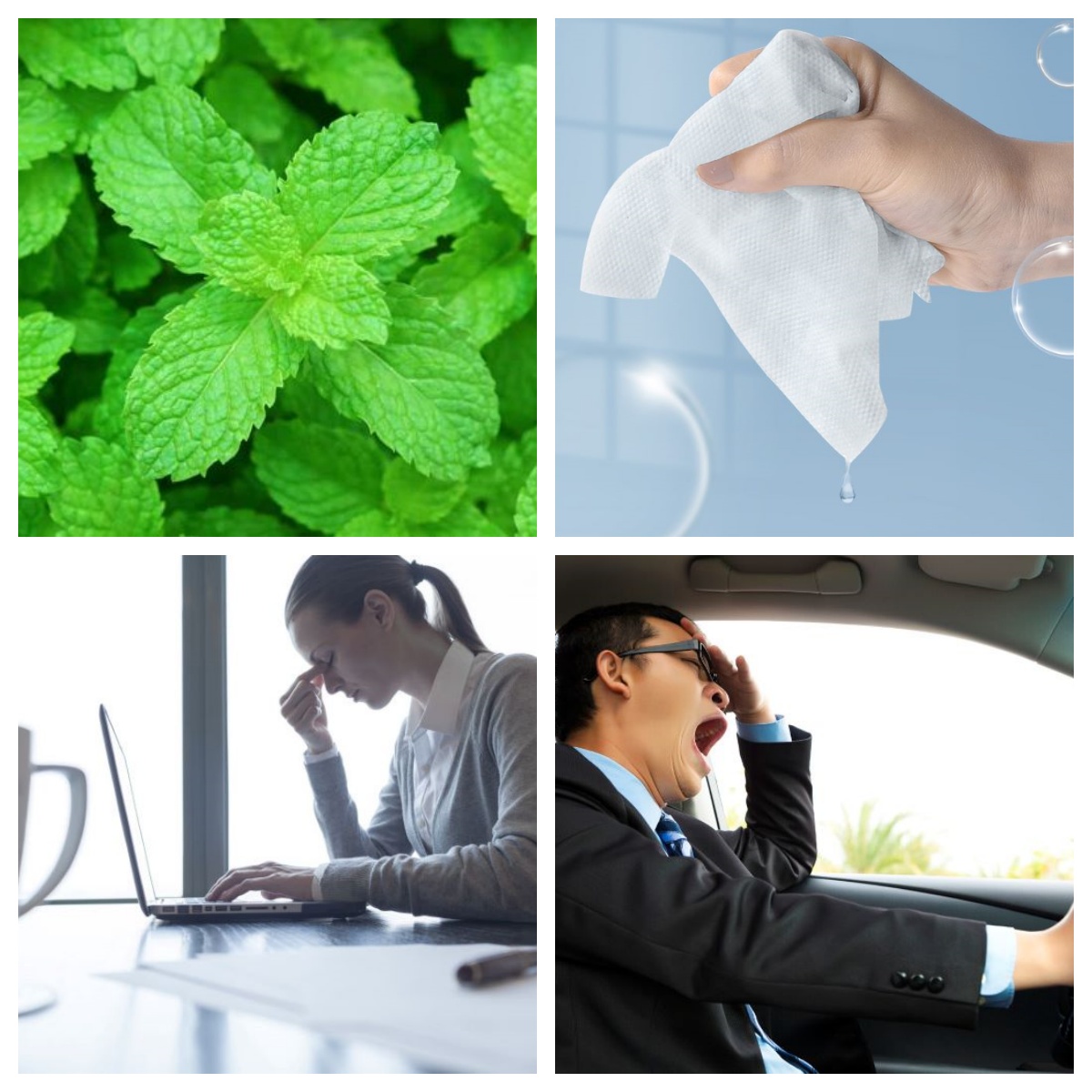 Paraben-Free Cooling Wipes Ingredient