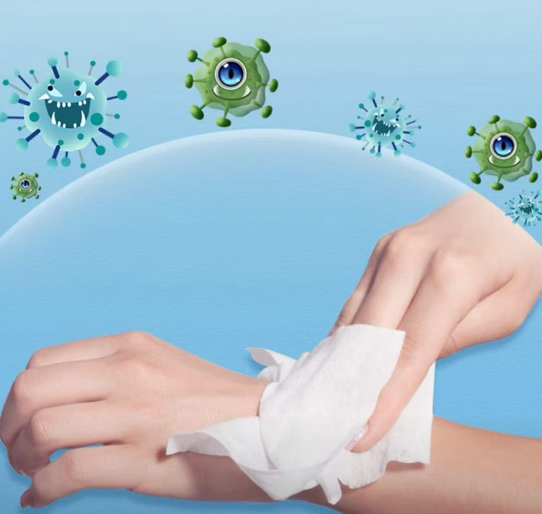 Mild Benzalkonium Chloride-Based Wet Wipes Formulation