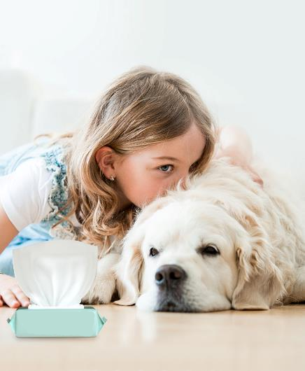 Non-Toxic Preservative for Cat Wipes