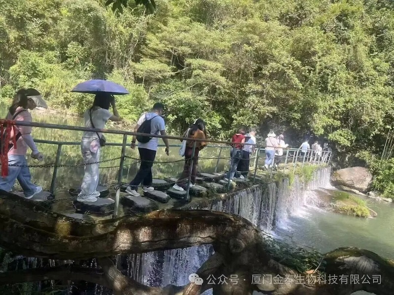 Household Wipes Preservative