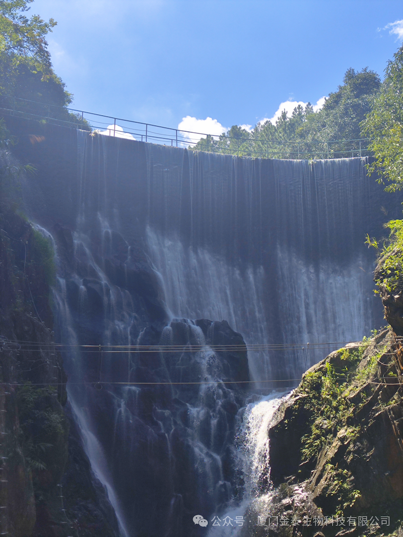 Household Wipes Preservative