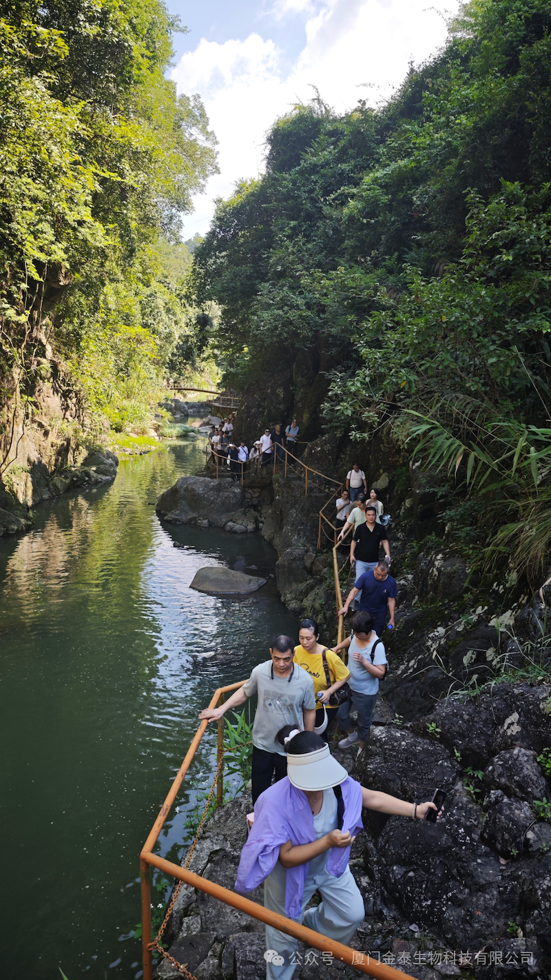 Personal Care Wipes Preservative