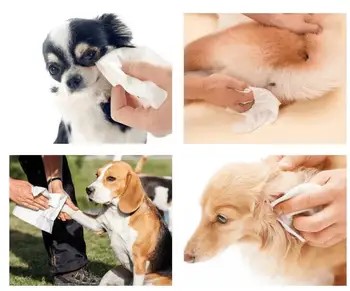 Safe Pet Wet Wipes Chemicals