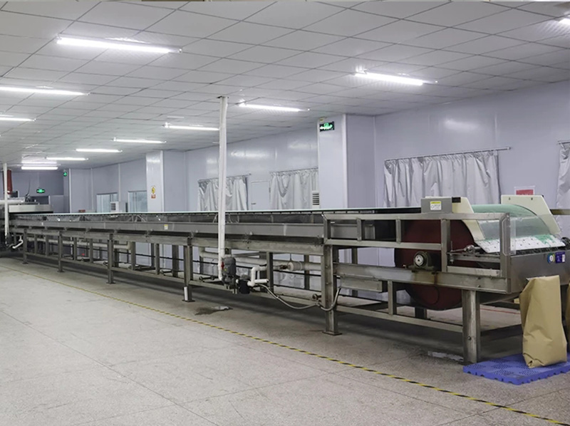 Company Profile Company Profile