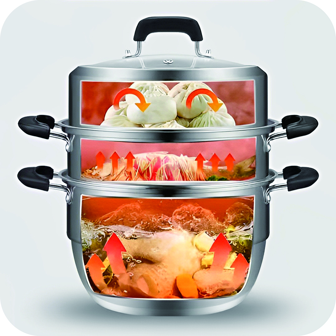 Cleaning And Maintenance Of Electric Steamers