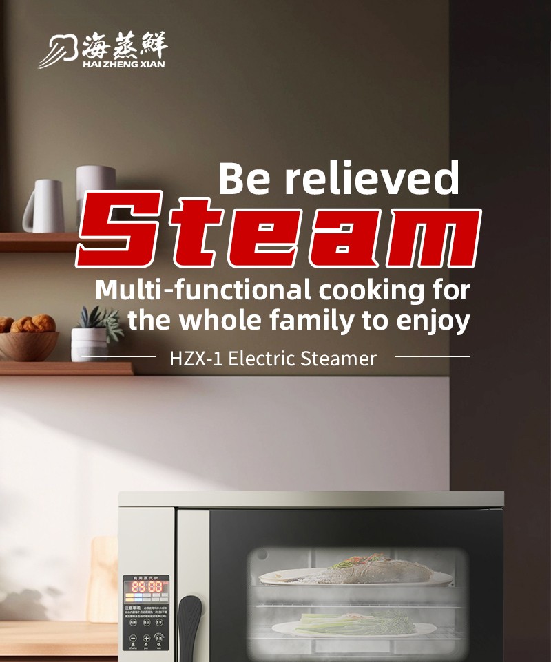electric steam oven