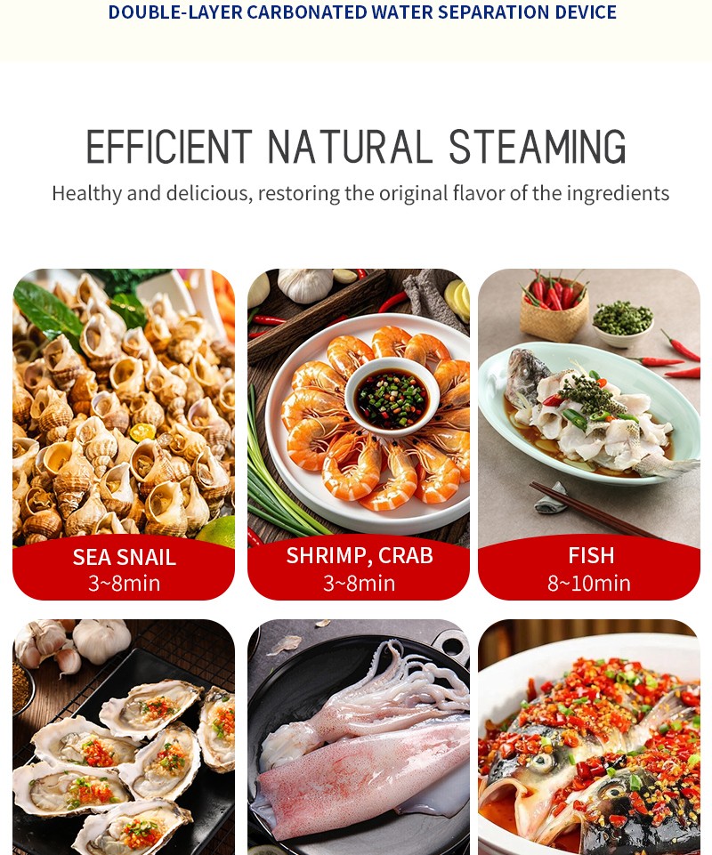 electric steam oven