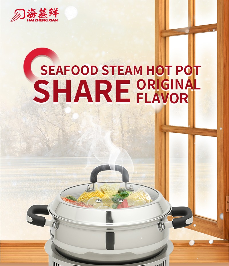 steam pressure cooker